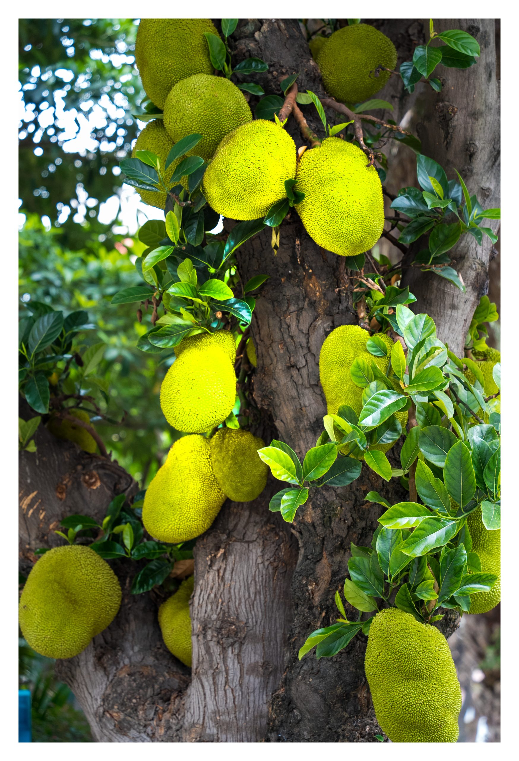 今天泉州初二年级地理生物考试！加油！